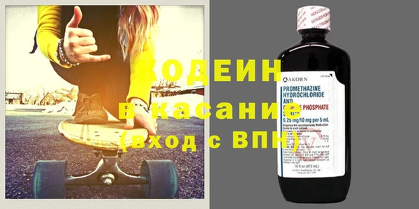 хмурый Алзамай