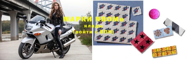хмурый Алзамай