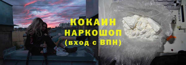 хмурый Алзамай