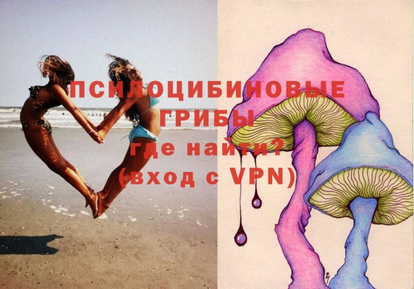 соль ск Алексин