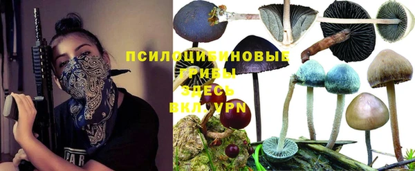 соль ск Алексин