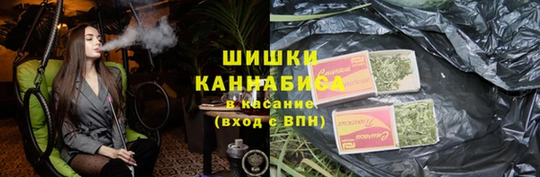 соль ск Алексин