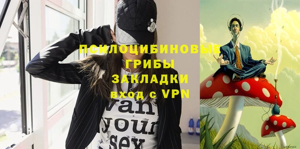 хмурый Алзамай