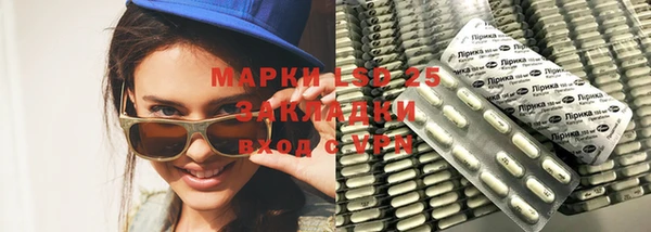 хмурый Ельня
