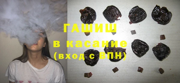 хмурый Алзамай